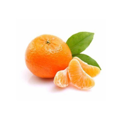  عکس نارنگی شمال